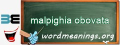 WordMeaning blackboard for malpighia obovata